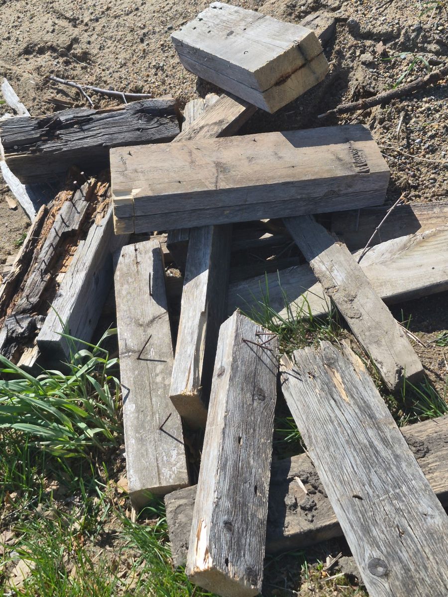 Yard Waste Violation